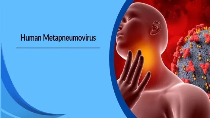 Human-Metapneumovirus-696x392-1